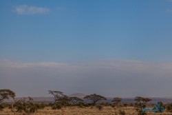 Kena_Amboseli