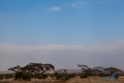 Kena_Amboseli