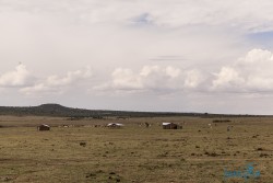 Kena_Masajská vesnice