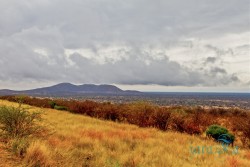 NAM_Etosha National park