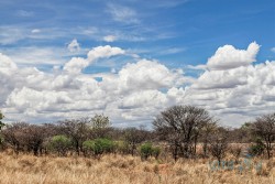 Namibie - cestou