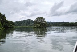 Panama_Jezero Gatůn